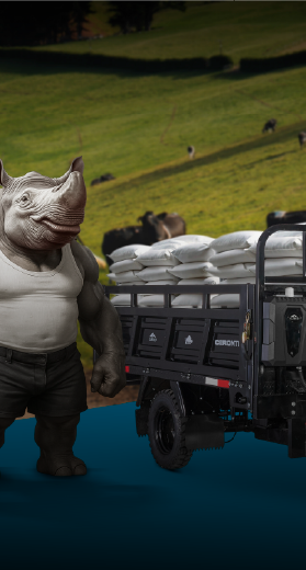 backgroundImgDetail1