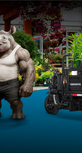 backgroundImgDetail2