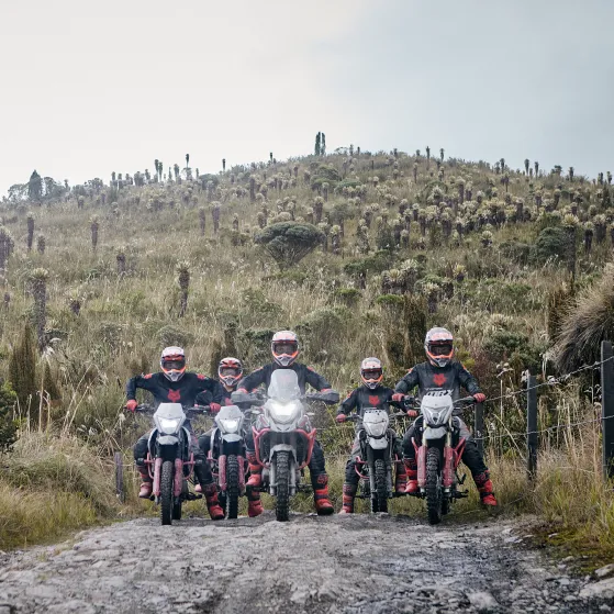 LOW SEAT Baja altura del sillín al piso para una mejor maniobrabilidad para que te sientas cómodo mientras conduces.