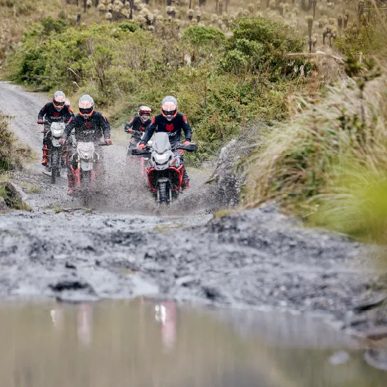 Llantas IRC, con llantas de alta calidad que proporcionan una excelente tracción y estabilidad, ideales para enfrentar cualquier tipo de terreno, tanto urbano como off road.