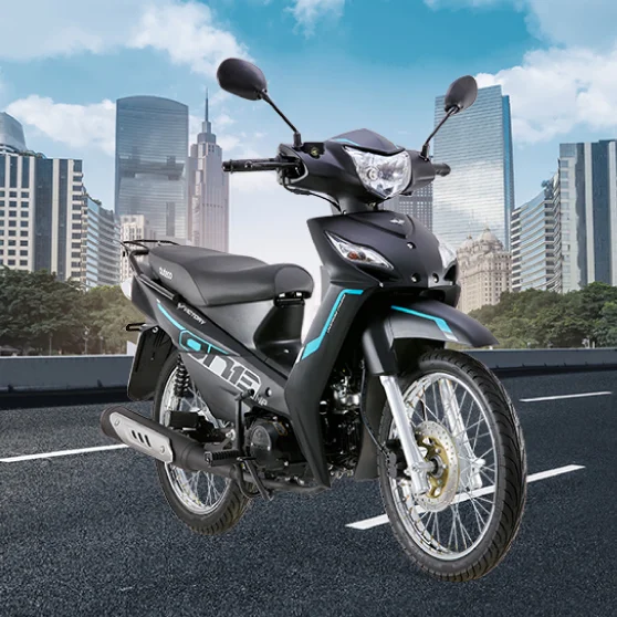 Moto práctica para usarla como medio de transporte o de trabajo 