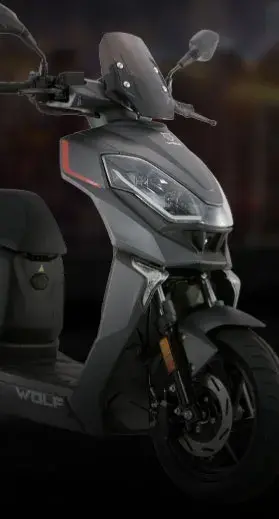 backgroundImgDetail1